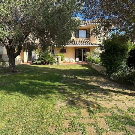Villa Degli Olivi 普拉 外观 照片