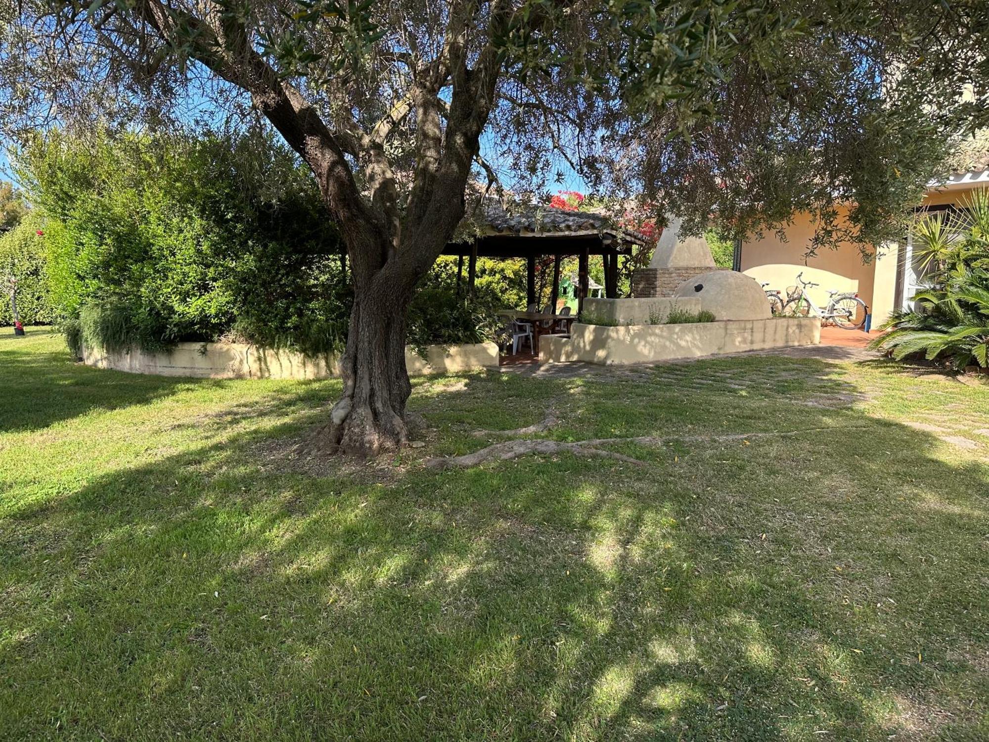 Villa Degli Olivi 普拉 外观 照片